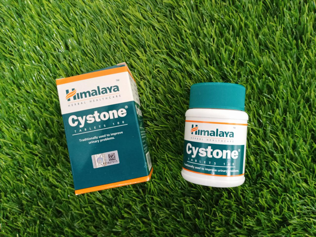 HIMALAYA CYSTONE